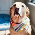 Load image into Gallery viewer, Beach Ball Water Lovin Bandana