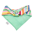 Load image into Gallery viewer, Beach Ball Water Lovin Bandana