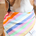 Load image into Gallery viewer, Beach Ball Water Lovin Bandana