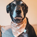 Load image into Gallery viewer, Who's your Mummy Dog Bandana