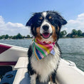 Load image into Gallery viewer, Beach Ball Water Lovin Bandana