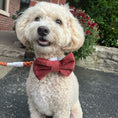 Load image into Gallery viewer, Sienna Bowtie