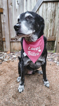 Load image into Gallery viewer, Lover NOT a Biter Dog Bandana