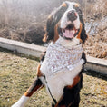 Load image into Gallery viewer, Petal Perfection Dog Bandana