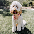 Load image into Gallery viewer, Sweet Petals Dog Bandana