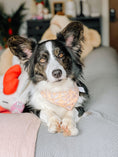 Load image into Gallery viewer, Bunny Bliss Dog Bandana