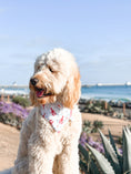 Load image into Gallery viewer, Catch of the Day Dog Bandana