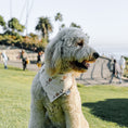 Load image into Gallery viewer, Cozy Winter house Dog Bandana