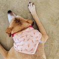 Load image into Gallery viewer, Skully Snuggles Dog Bandana