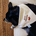 Load image into Gallery viewer, Boos & Bats Dog Bandana