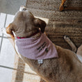 Load image into Gallery viewer, Skully Snuggles Dog Bandana