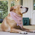 Load image into Gallery viewer, Skully Snuggles Dog Bandana