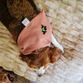 Load image into Gallery viewer, Wicked Cute Dog Bandana