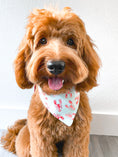 Load image into Gallery viewer, Seas the Day Dog Bandana