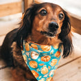 Load image into Gallery viewer, Pumpkin Harvest Dog Bandana