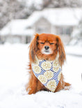 Load image into Gallery viewer, Main Squeeze Dog Bandana