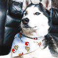 Load image into Gallery viewer, Grinch Stole Christmas Dog Bandana