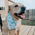 Load image into Gallery viewer, Float'n all day Dog Bandana