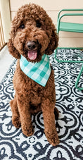 Load image into Gallery viewer, Sea Gingham Dog Bandana