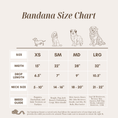 Load image into Gallery viewer, Spice of Life Dog Bandana