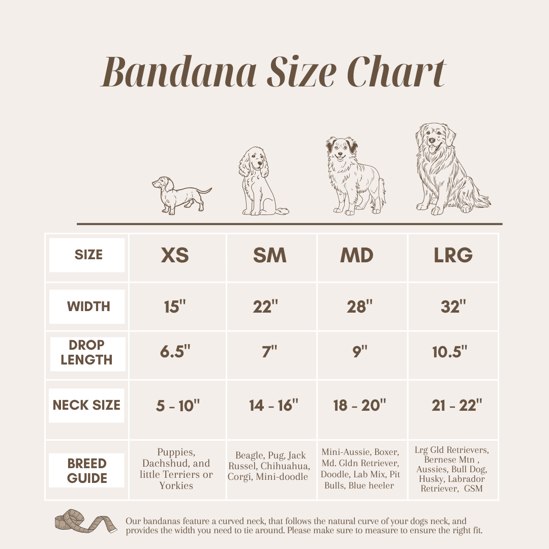 Spice of Life Dog Bandana
