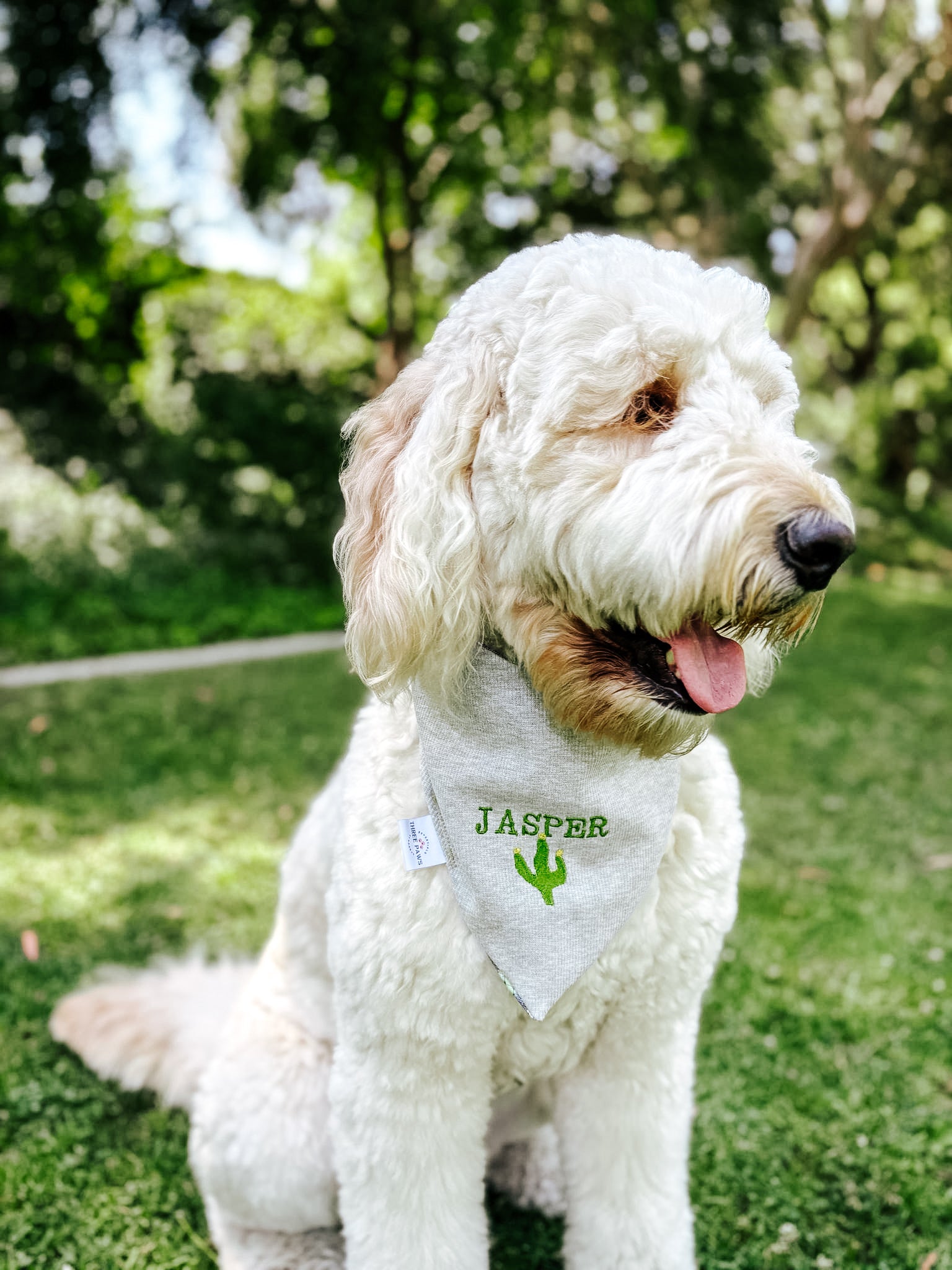 Custom Embroidered Pup Name ONLY Dog Bandana