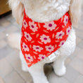 Load image into Gallery viewer, Daisy Pressed Dog Bandana