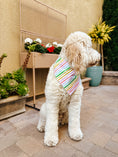 Load image into Gallery viewer, Pastel Rainbow Dog Bandana