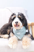 Load image into Gallery viewer, Pup'mas Tree Excursion Dog Bandana