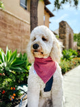Load image into Gallery viewer, Embroidered Floral Dog Bandana