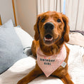 Load image into Gallery viewer, Birthday Wishes Dog Bandana