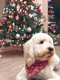 Load image into Gallery viewer, Berry Cookies Dog Bandana