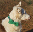 Load image into Gallery viewer, Leaf Green Bowtie