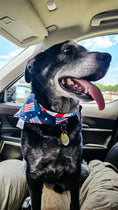 Load image into Gallery viewer, Cool Exclusive Water Lovin Bandana
