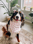 Load image into Gallery viewer, Retro Checkers Dog Bandana