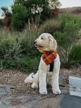 Load image into Gallery viewer, Autumn Flannel Dog Bandana