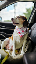 Load image into Gallery viewer, Cool Exclusive Water Lovin Bandana