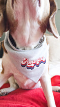 Load image into Gallery viewer, America Blue Dog Bandana