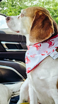 Load image into Gallery viewer, Cool Exclusive Water Lovin Bandana