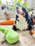 Load image into Gallery viewer, Retro Checkers Dog Bandana