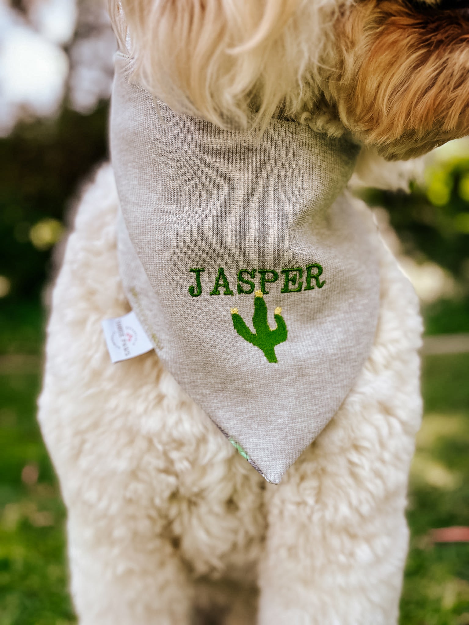Custom Embroidered Pup Name ONLY Dog Bandana