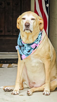 Load image into Gallery viewer, Palm Prickly Breeze Water Lovin Bandana