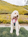 Load image into Gallery viewer, Sunny Days Ahead Dog Bandana