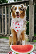 Load image into Gallery viewer, Juicy Sweet Dog Bandana