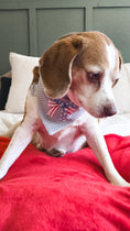 Load image into Gallery viewer, America Blue Dog Bandana