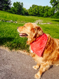 Load image into Gallery viewer, Cool Exclusive Water Lovin Bandana