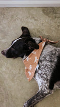 Load image into Gallery viewer, Who's your Mummy Dog Bandana
