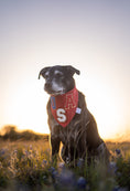 Load image into Gallery viewer, USA Aplique Dog Bandana