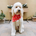 Load image into Gallery viewer, Daisy Pressed Dog Bandana