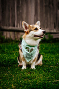 Load image into Gallery viewer, Snuggle Bunny Dog Bandana